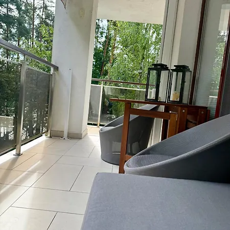 Mierki Da Marco * Gryzliny